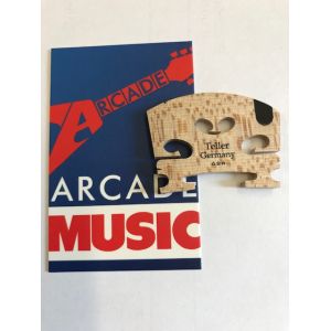 Violin Bridge