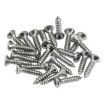 Fender Pickguard / Control Plate Mounting Screws (24)