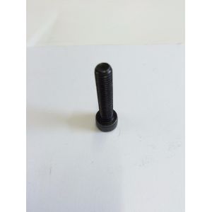Tama Screw for Iron Cobra pedal, vari pitch beater holder screw.