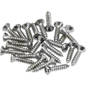 Pickguard - Control Plate Mounting Screws (24)
