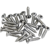 Pickguard - Control Plate Mounting Screws (24)