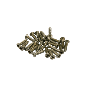 Road Worn® Pickguard/Control Plate Screws (24)